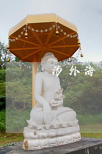 涉外海事訴訟的主體