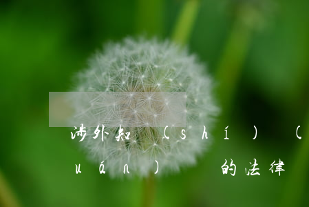 涉外知識(shí)產(chǎn)權(quán)訴訟的法律適用問(wèn)題（著作權(quán)訴訟適用）