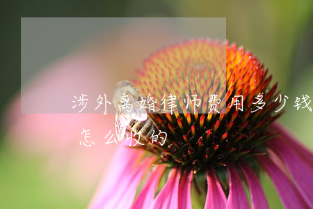 涉外离婚律师费用多少钱(离婚律师费用一般怎么收的)