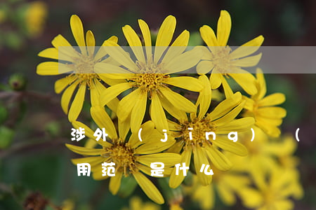 涉外經(jīng)濟(jì)合同法的適用范圍是什么