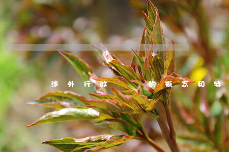 涉外行政訴訟的概念和特征是什么