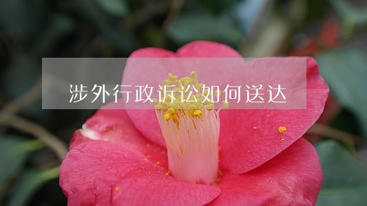 涉外行政诉讼如何送达