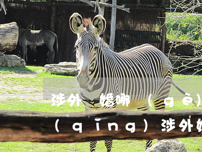 涉外離婚哪個(gè)部門(mén)申請(qǐng)(涉外婚姻離婚適用法律)