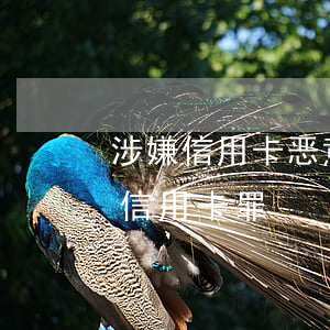 涉嫌信用卡恶意透支怎么判(什么叫恶意透支信用卡罪)