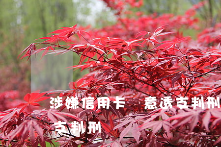涉嫌信用卡惡意透支判刑(涉嫌信用卡惡意透支判刑)