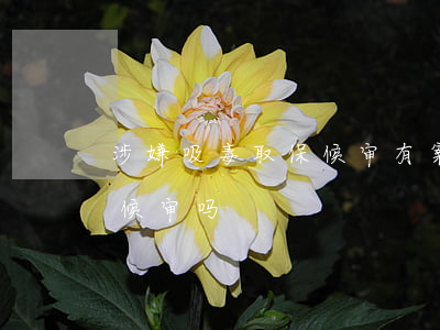 涉嫌吸毒取保候审有案底吗(贩毒案可以取保候审吗)