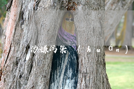 涉嫌污染環(huán)境罪會有什么后果