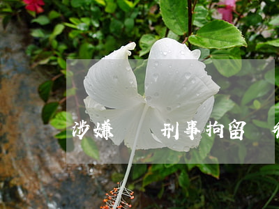 涉嫌詐騙刑事拘留請律師大概要多少錢