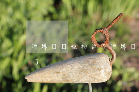 涉嫌詐騙被拘留了(涉嫌詐騙被拘留了25天了)