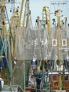 涉嫌詐騙請(qǐng)律師多少錢(qián)(被詐騙請(qǐng)律師要多少錢(qián))