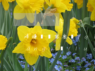 涉嫌詐騙需要請(qǐng)律師嗎(網(wǎng)絡(luò)詐騙案可以請(qǐng)律師嗎)