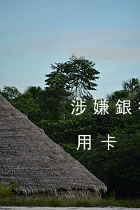 涉嫌銀行信用卡惡意透支一(何為惡意透支信用卡)