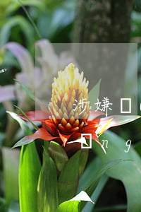 涉嫌開(kāi)設(shè)賭場(chǎng)罪取保需要把投資的錢(qián)也退嗎(開(kāi)設(shè)賭場(chǎng)罪取保了)