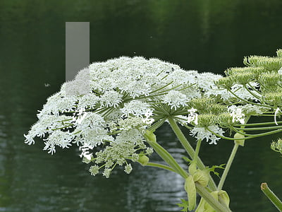 涉樓盤名稱商標侵權(quán)責任的認定