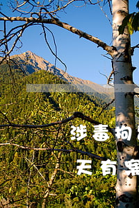 涉毒拘留30天会有案底吗(吸毒被拘留15天有案底吗对子女有影响吗)