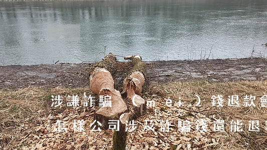 涉謙詐騙沒(méi)錢退款會(huì)怎樣(公司涉及詐騙 錢還能退嗎)