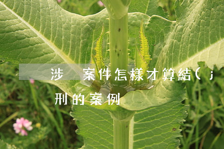 涉黃案件怎樣才算結(jié)案(涉黃被判刑的案例)