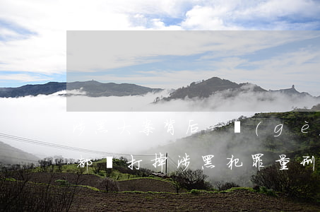 涉黑大案背后一個(gè)保護(hù)傘都沒打掉 涉黑犯罪量刑標(biāo)準(zhǔn)是什么