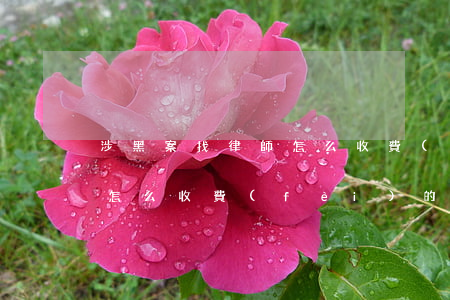 涉黑案找律師怎么收費(fèi)(找律師是怎么收費(fèi)的)