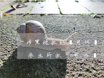 涉黑被抓起來可以請(qǐng)律師嗎(被派出所抓了可以請(qǐng)律師嗎)