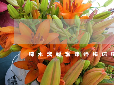 涞水离婚案律师报价(涞水法院公开网)