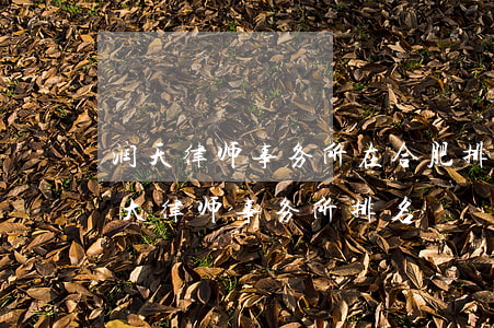 润天律师事务所在合肥排名(2019合肥十大律师事务所排名)