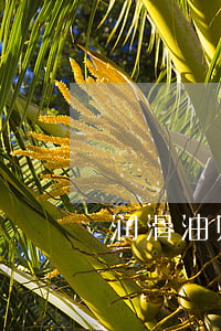 润滑油购销合同