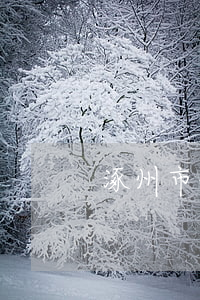 涿州市债务律师(涿州律师所)