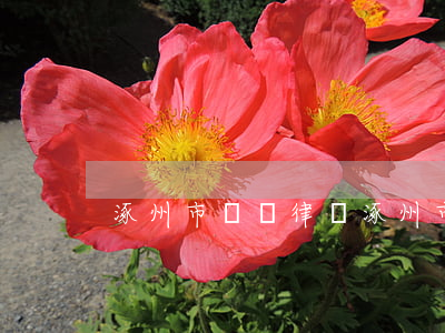 涿州市債務律師(涿州市債務律師咨詢電話)