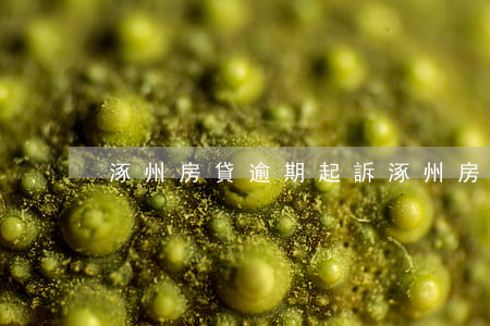 涿州房貸逾期起訴 涿州房貸利率最新消息