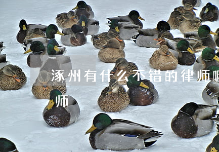 涿州有什么不错的律师嘛(涿州政法街有名律师)