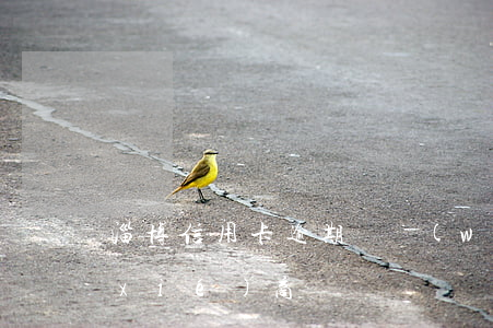 淄博信用卡逾期債務(wù)重組怎么協(xié)商
