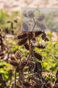 淄博市新型墻體材料發(fā)展應(yīng)用與民用建筑節(jié)能條例最新修正版【全文】