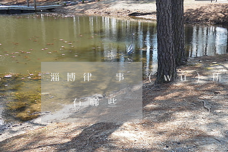 淄博律師事務(wù)所排名(淄博有名的律師有哪些)