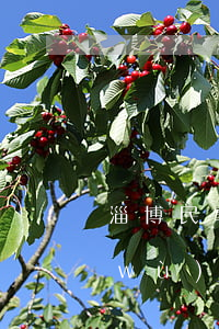 淄博民事律師怎么委托(淄博淄川律師事務(wù)所免費咨詢幫助)