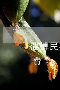 淄博民事案件律師怎么收費(淄博律師咨詢免費)