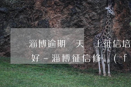 淄博逾期幾天會上征信培訓(xùn)哪家好-淄博征信修復(fù)公司