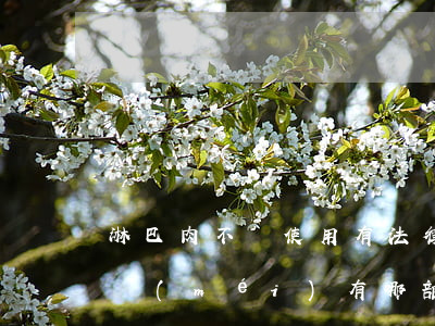淋巴肉不讓使用有法律法規(guī)(有沒(méi)有哪部法律說(shuō)不能違反行政法規(guī))