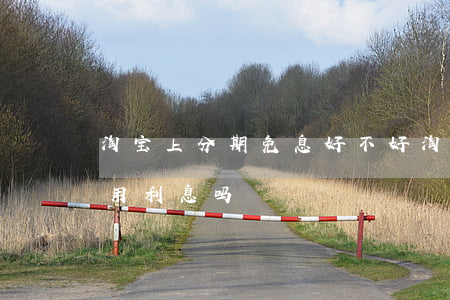 淘宝上分期免息好不好(淘宝分期免息真的不用利息吗)