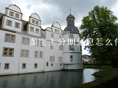 淘宝上分期免息怎么付