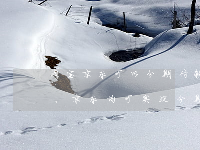 淘宝京东可以分期付款吗，分期购物无忧！淘宝、京东均可实现分期付款