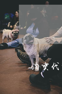 淘宝代写法律文书