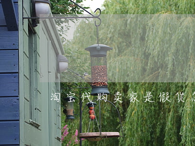 淘宝代购卖家是假货怎么投诉吗