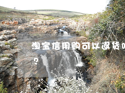 淘宝信用购：可以退货吗？如何操作？安全吗？