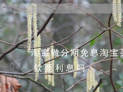 淘宝做分期免息(淘宝买东西分期免息后期还款要利息吗)