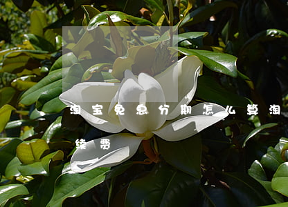 淘宝免息分期怎么算(淘宝免息分期怎么算手续费)