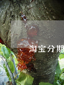 淘宝分期信用卡利息