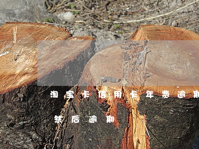 淘宝卡信用卡年费逾期(不知道信用卡有年费然后逾期)