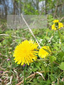 淘宝可以上诉法院吗(可以起诉淘宝店铺吗)