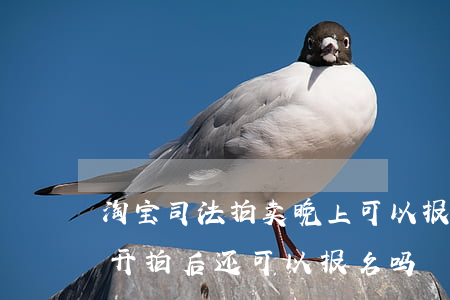 淘宝司法拍卖晚上可以报名吗(淘宝司法拍卖开拍后还可以报名吗) 淘宝司法拍卖晚上可以报名吗(淘宝司法拍卖开拍后还可以报名吗)